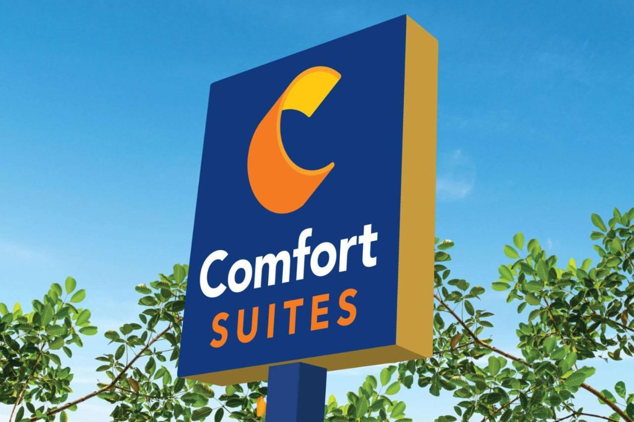 Comfort Suites نيونان المظهر الخارجي الصورة